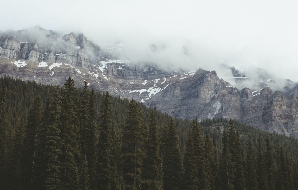 President’s Corner: Alberta Bound